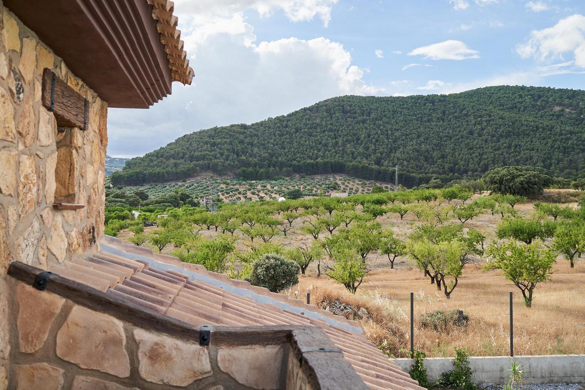 Villa Canela Illora Екстериор снимка