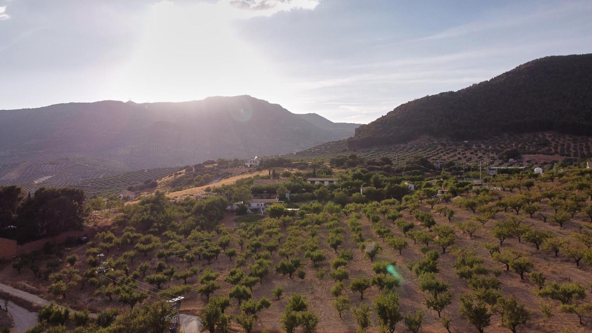 Villa Canela Illora Екстериор снимка